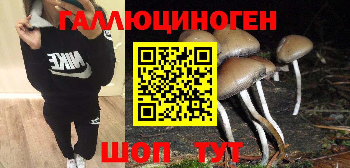 Псилоцибиновые грибы ЛСД Миасс